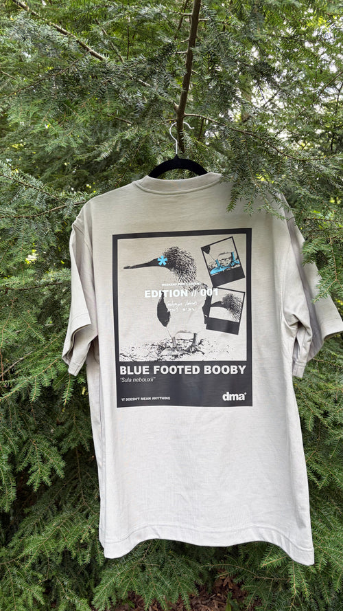 Edition 001 // Blue Footed Booby