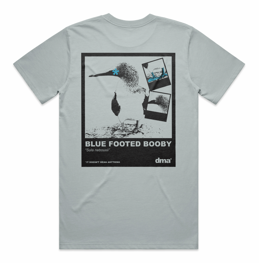 Weekend Bird Content // Edition 001 // Blue Footed Boobie