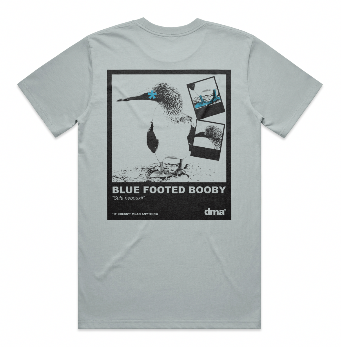 Weekend Bird Content // Edition 001 // Blue Footed Boobie