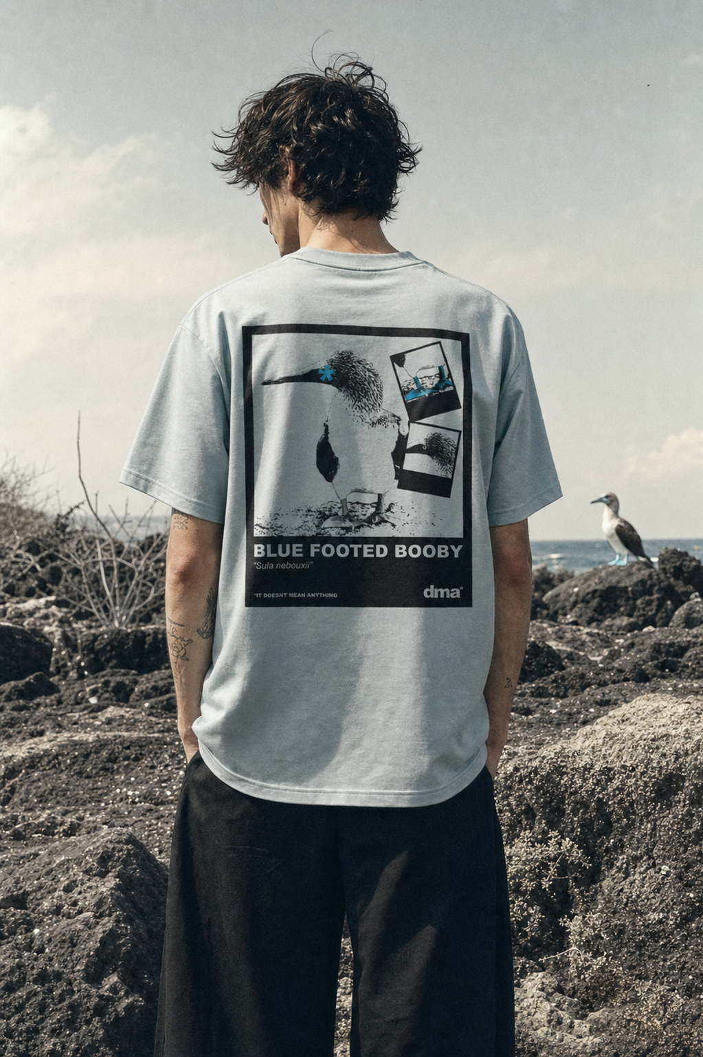 Weekend Bird Content // Edition 001 // Blue Footed Boobie