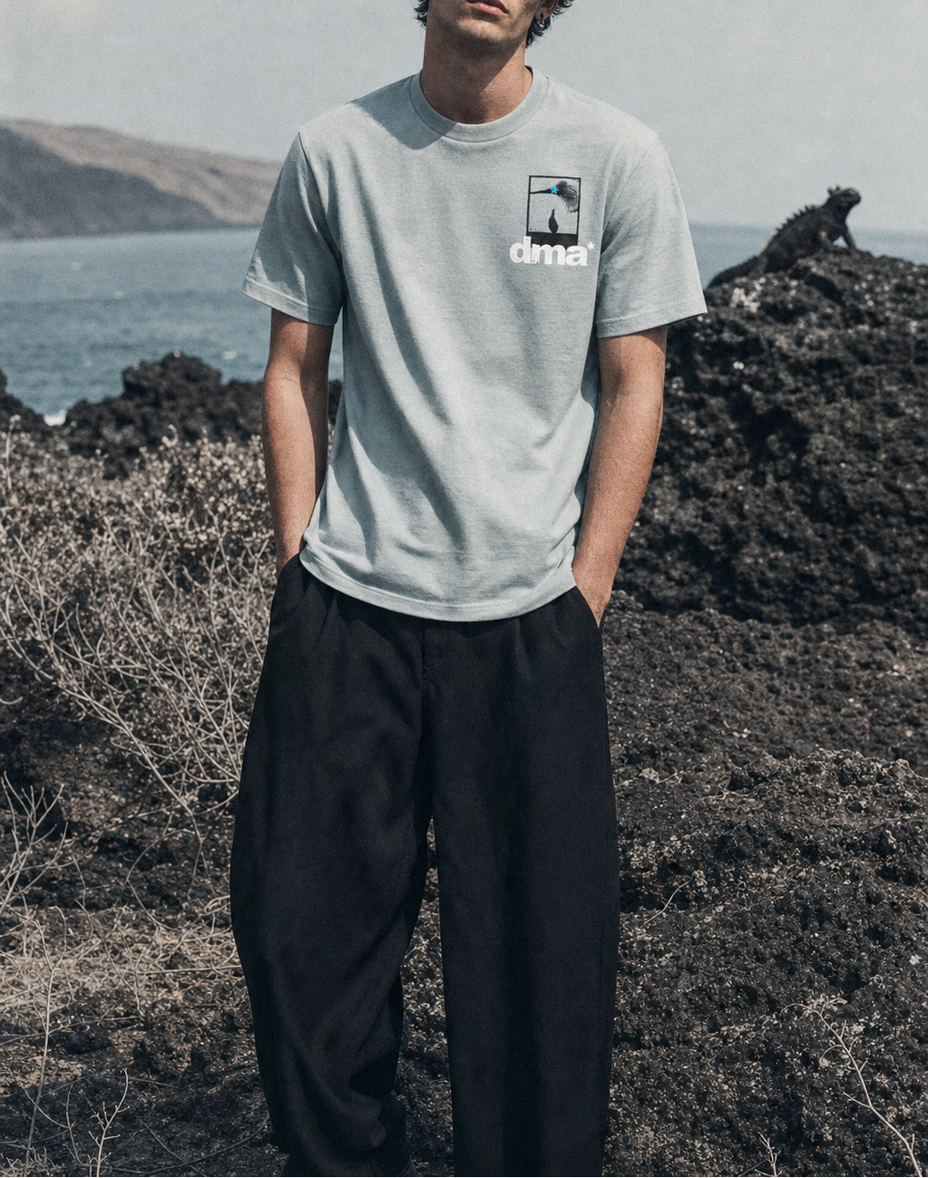 Weekend Bird Content // Edition 001 // Blue Footed Boobie